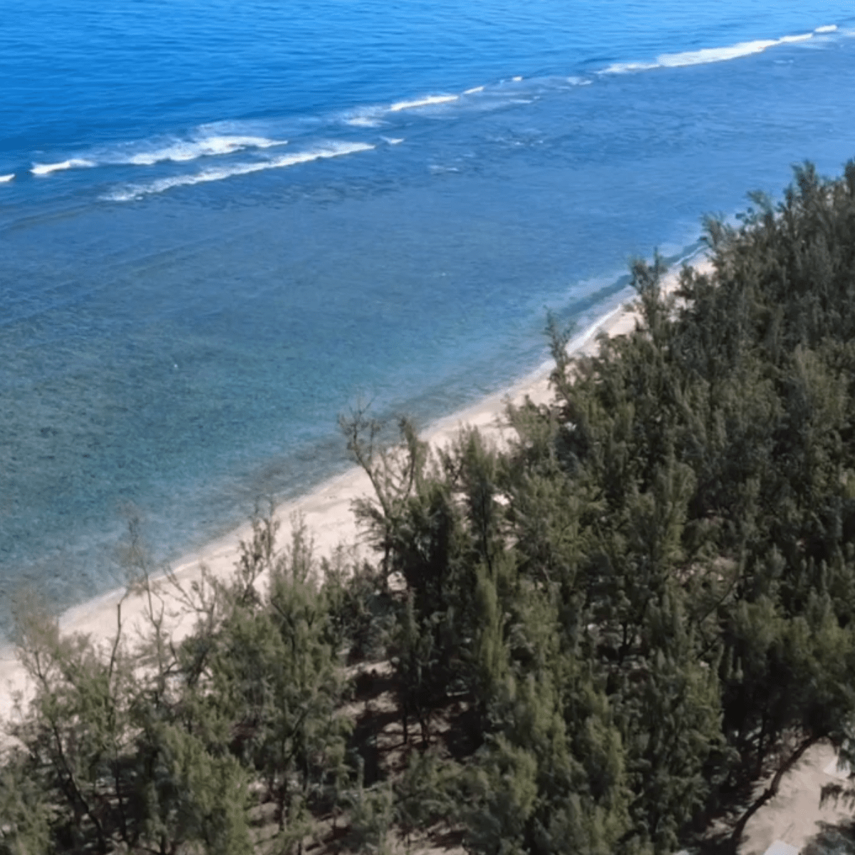 Projet Frange Littoral de l'Ermitage